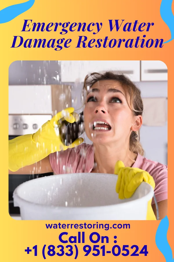 Emergency Water Damage Restoration in Socastee, SC