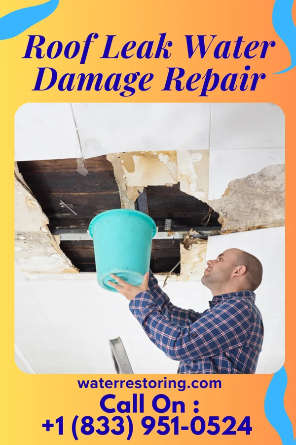 Roof Leak Water Damage Repair in Socastee, SC