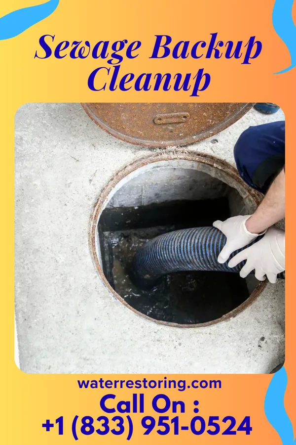 Sewage Backup Cleanup in Socastee, SC