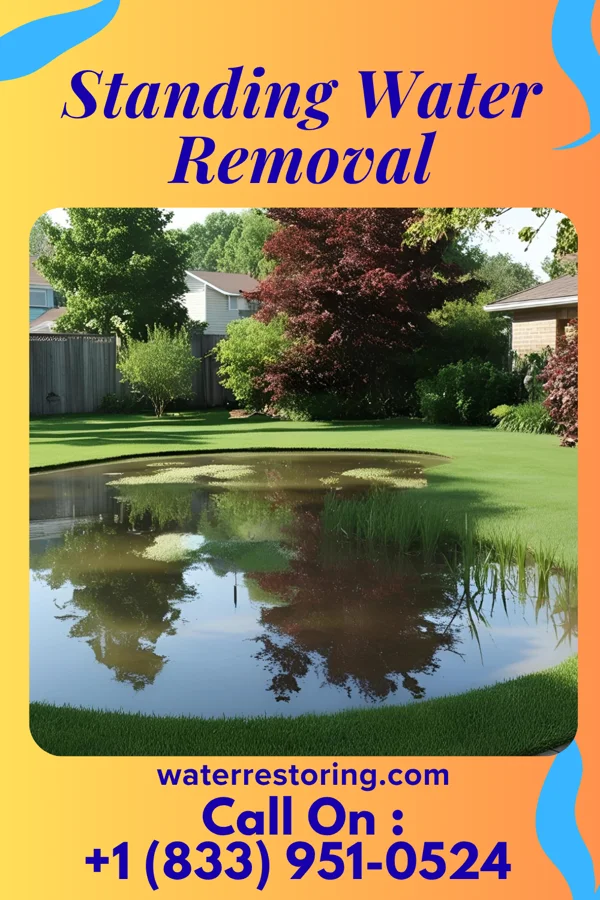 Standing Water Removal in Socastee, SC